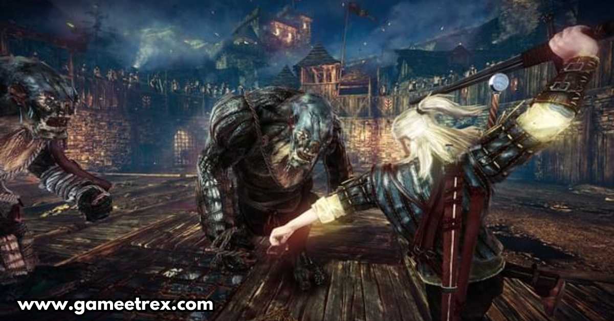 The Witcher 2 Assassins of Kings