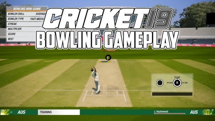 Cricket 19