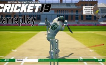 Cricket 19