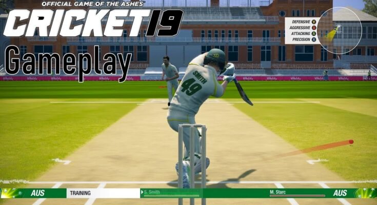 Cricket 19
